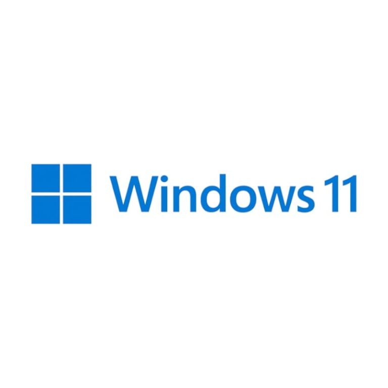 Microsoft Windows 11 Home DSP -