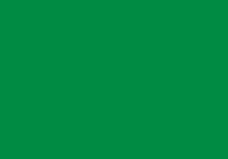 2004312: Cricut Premium Vinyl Removable 30.5 cm x 122 cm (Green) - Cricut Premium Vinyl - Removable, Heat transfer vinyl roll, Green, Monochromatic, Glossy, Cricut Maker, Cricut Explore Machines, 305 mm